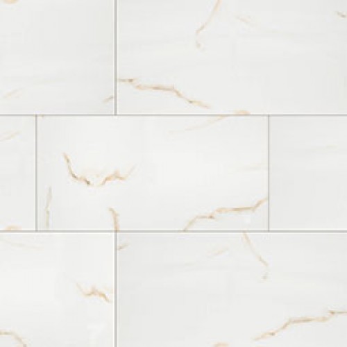 Aria Bianco 24x48 Polished