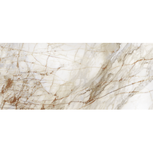 Calacatta Goldie 24x48 Polished