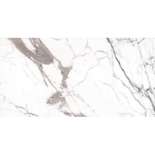 Paonazzo 24x48 Polished