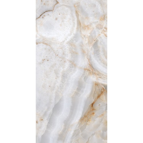 Venus 24x48 Polished